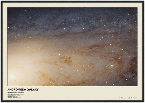 Andromeda Galaxy - Contemporary Wall Art